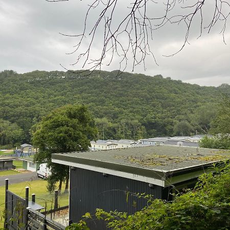 Appartamento Forget-Me-Not 114 Woodlands Park New Quay New Quay  Esterno foto