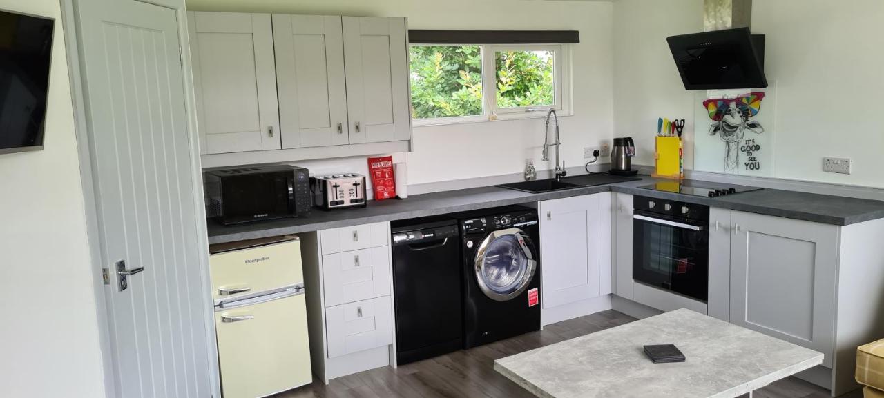 Appartamento Forget-Me-Not 114 Woodlands Park New Quay New Quay  Esterno foto