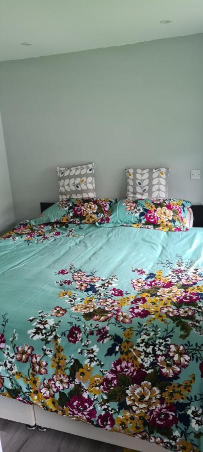Appartamento Forget-Me-Not 114 Woodlands Park New Quay New Quay  Esterno foto