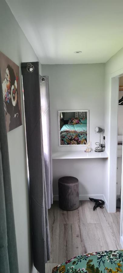 Appartamento Forget-Me-Not 114 Woodlands Park New Quay New Quay  Esterno foto