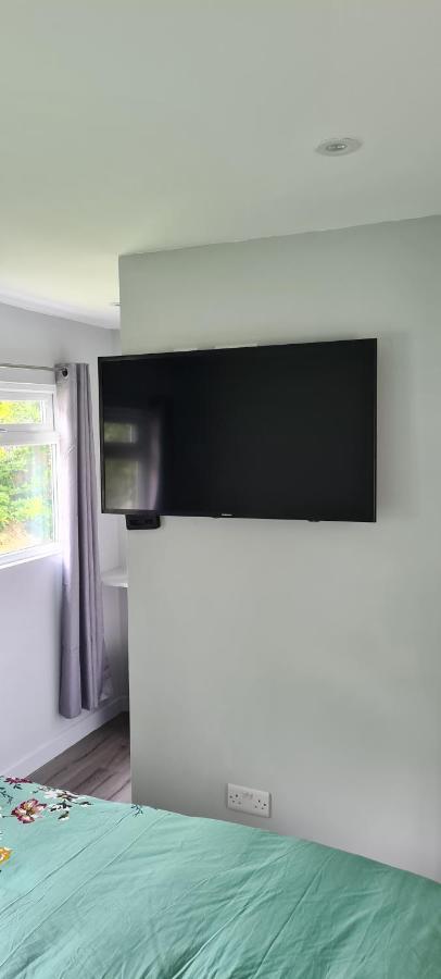 Appartamento Forget-Me-Not 114 Woodlands Park New Quay New Quay  Esterno foto