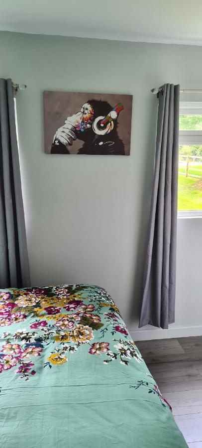 Appartamento Forget-Me-Not 114 Woodlands Park New Quay New Quay  Esterno foto