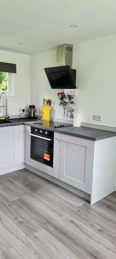 Appartamento Forget-Me-Not 114 Woodlands Park New Quay New Quay  Esterno foto