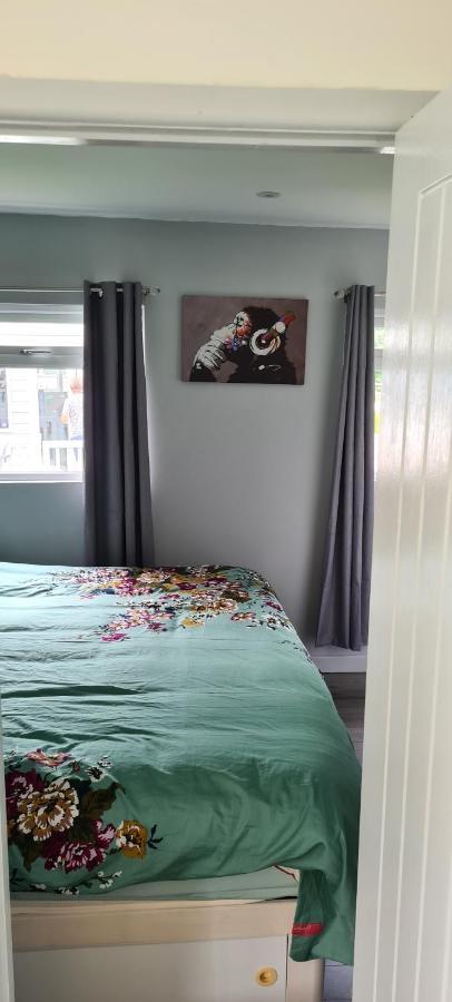 Appartamento Forget-Me-Not 114 Woodlands Park New Quay New Quay  Esterno foto