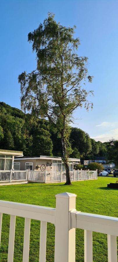 Appartamento Forget-Me-Not 114 Woodlands Park New Quay New Quay  Esterno foto